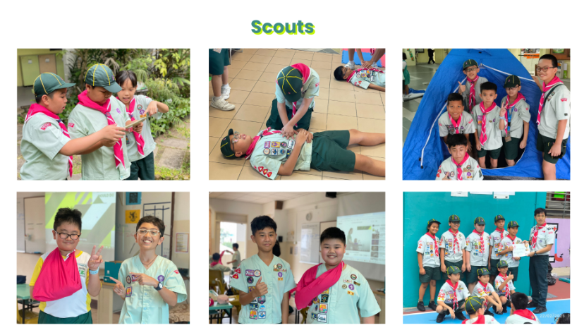 Row 1: Scouts Outdoor and Survival Training. Three photos show scouts practicing essential skills. On the left, three young scouts in uniform stand near garden greenery, intently reading a handheld map or guide. In the center, scouts practice first aid and CPR rescue techniques on a tiled floor. On the right, a cheerful group of six scouts smiles while setting up and posing inside a bright blue camping tent. Row 2: First Aid and Recognition Ceremonies. Three photos showcase scout achievements. On the left, a boy wearing a pink arm sling smiles alongside a classmate pointing to his uniform badges. In the middle, two scouts pose proudly, one showing off a completed first aid arm sling. On the right, an instructor presents a certificate of achievement to a line of scouts standing against a blue wall.